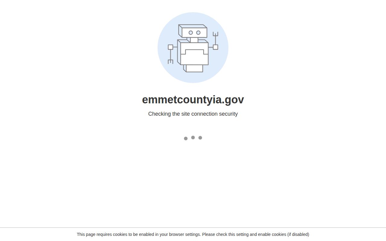 Emmet County booking record and mugshot request form